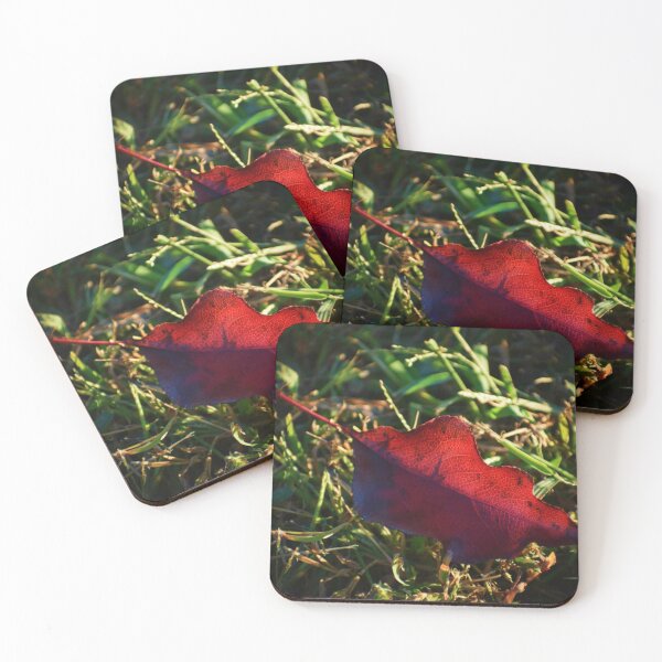 Item preview, The Haste Of Summer Leaving designed and sold by Melanie Uadjit.
