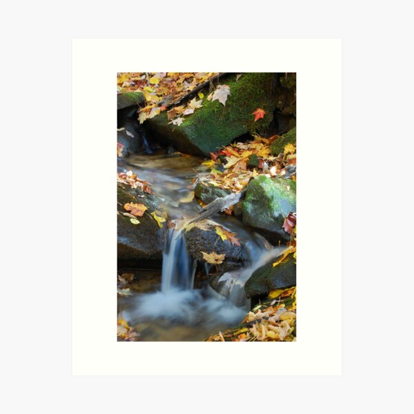 Teskewata Falls Art Print