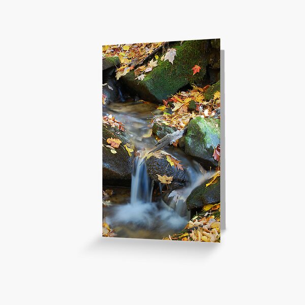 Teskewata Falls Greeting Card