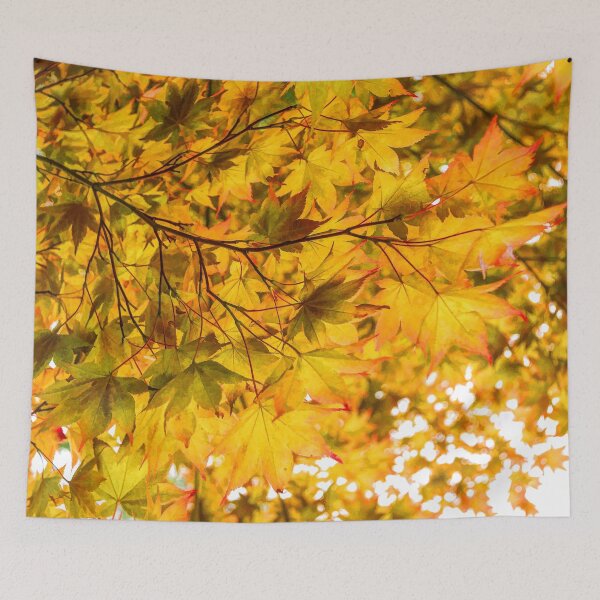 Item preview, Look Up and Enjoy the Brilliant Autumn Colors designed and sold by Georgia Mizuleva.