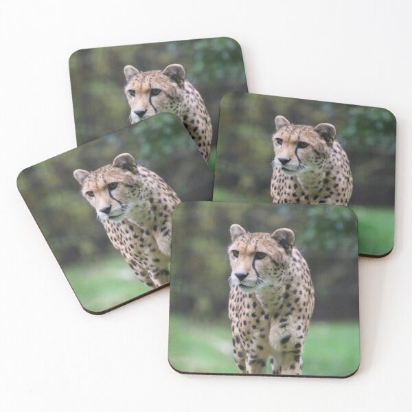 Item preview, Cheetah 010 designed and sold by JAMFoto.