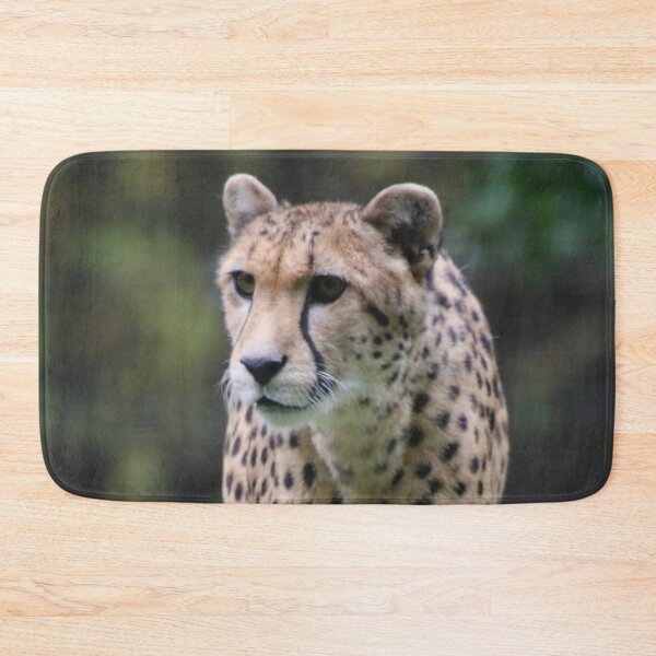 Item preview, Cheetah 010 designed and sold by JAMFoto.