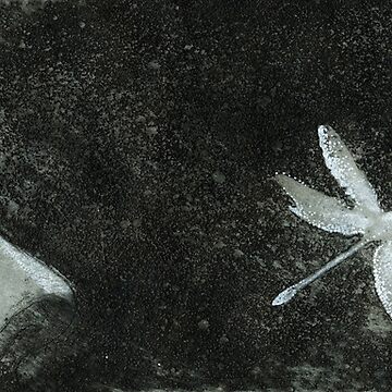 Artwork thumbnail, Dragonfly by freeminds