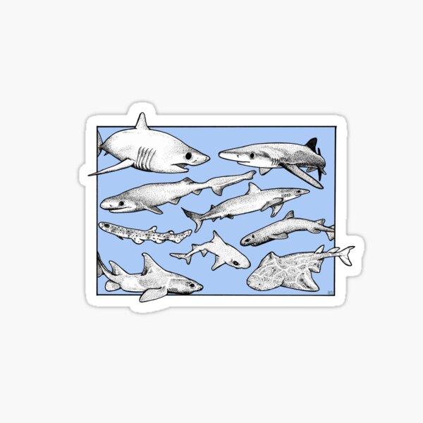 Collection of Atlantic Ocean Sharks Sticker