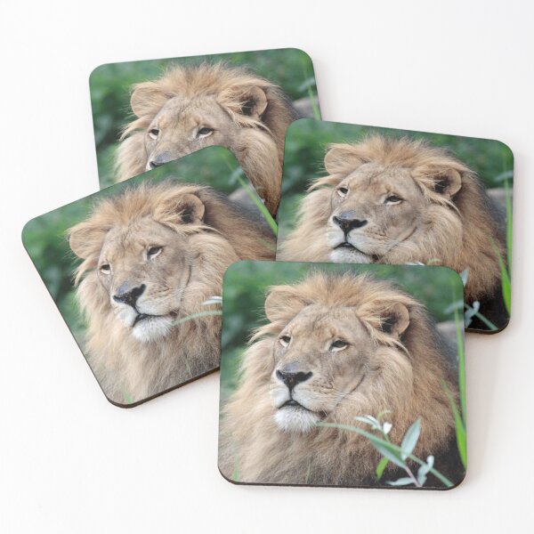 Item preview, Lion 021 designed and sold by JAMFoto.