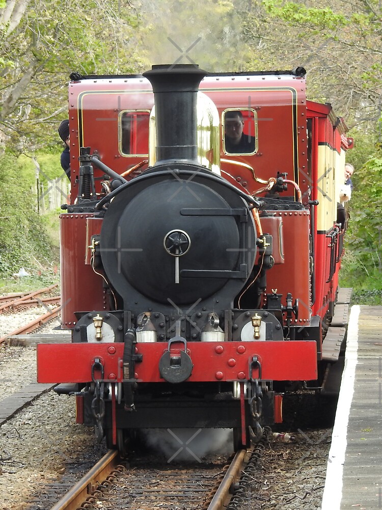 Isle of Man Steam Engine Ballasalla Station by tribbledesign
