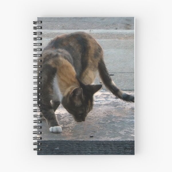 Item preview, Cat Curiosity designed and sold by dogplay.