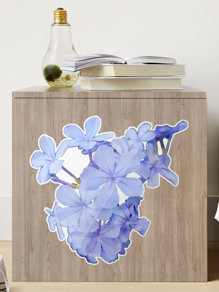 Blue Flower on a transparent background Sticker for Sale by ellenhenry