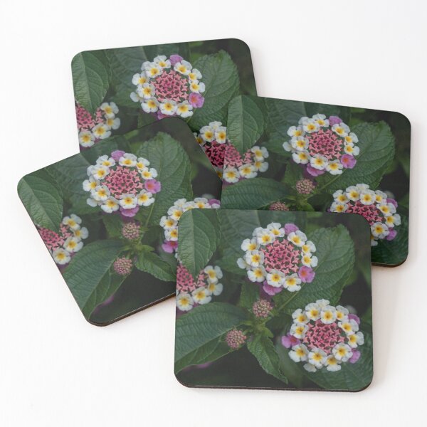 Item preview, Pink Centred Lantana designed and sold by Gerda Grice Photography.