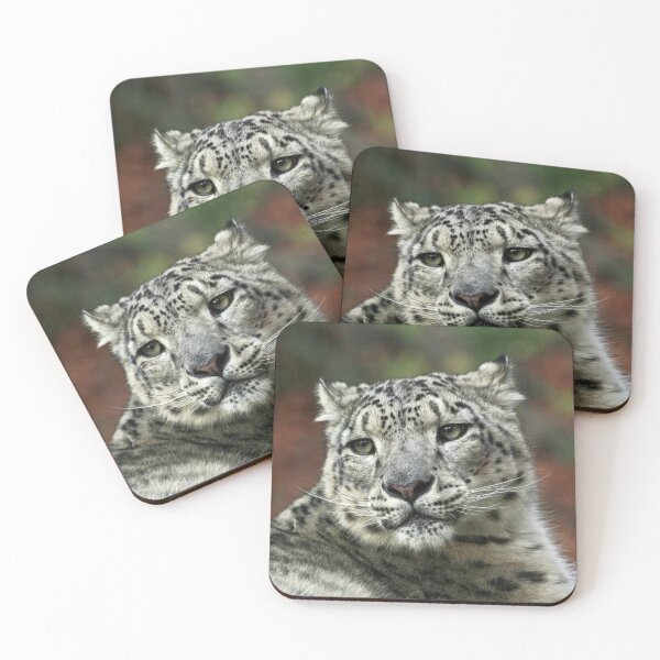 Item preview, Leopard 001 designed and sold by JAMFoto.