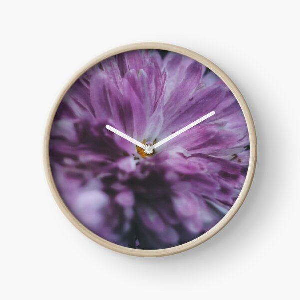 Violet Flower Bokeh for Background. Blurry Flower for Background. Creating an unusual bokeh and halo. Helios lens bokeh. Clock