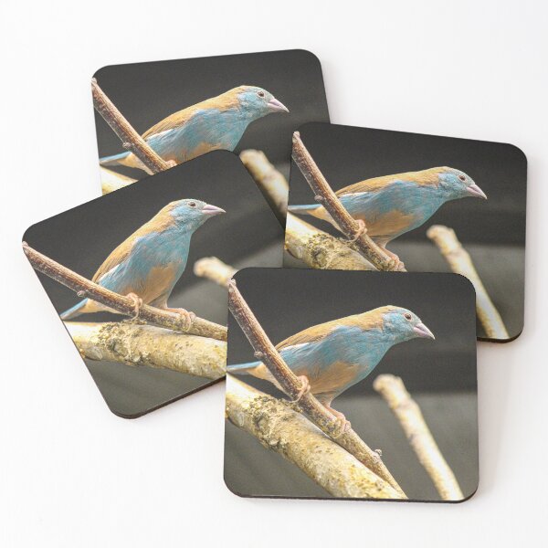 Item preview, Cordon Blue Finch designed and sold by Bob Hardy.