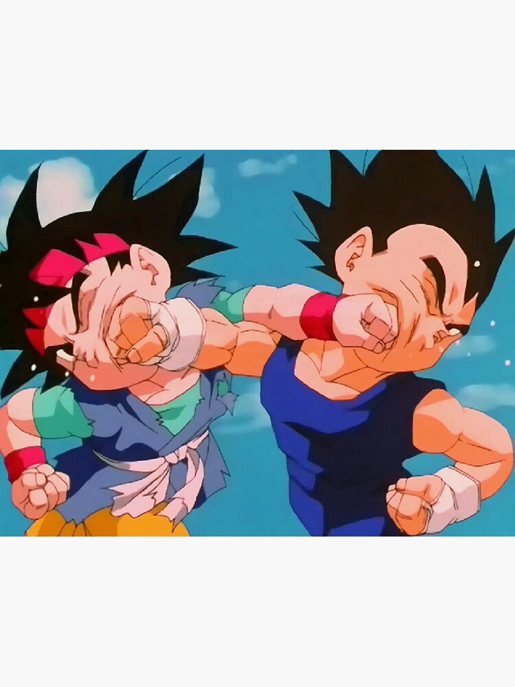 Tarjetas de felicitación «Goku Jr. vs. Vegeta Jr.» de marcusdanzy |  Redbubble