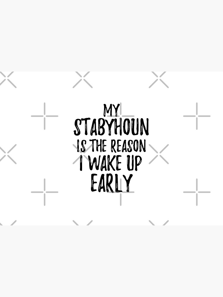 My Stabyhoun Is The Reason I Wake Up Early by FunnyGiftIdeas