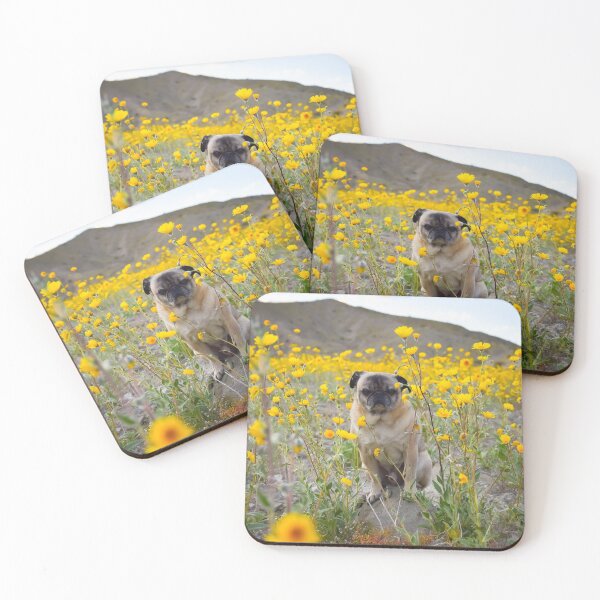Item preview, Pug Peeks Through Desert Sunflowers designed and sold by pugventurephoto.