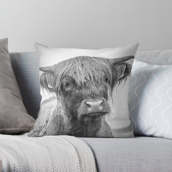 Highland cow - Mull Throw Pillow