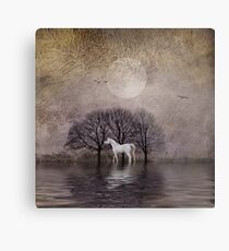 A White Horse in the Pond Metal Print