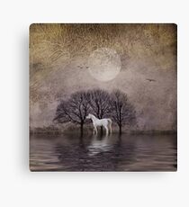 A White Horse in the Pond Canvas Print