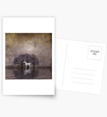 A White Horse in the Pond Postcards