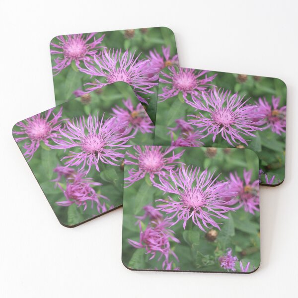 Item preview, Common knapweed designed and sold by mrivserg.