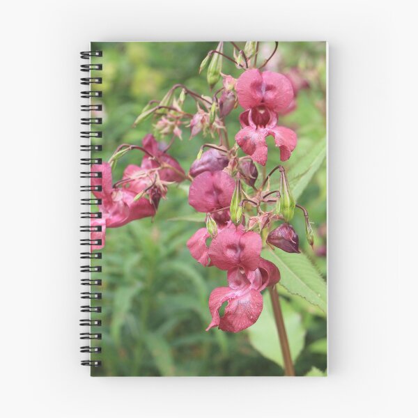 Item preview, flowers Himalayan balsam designed and sold by mrivserg.