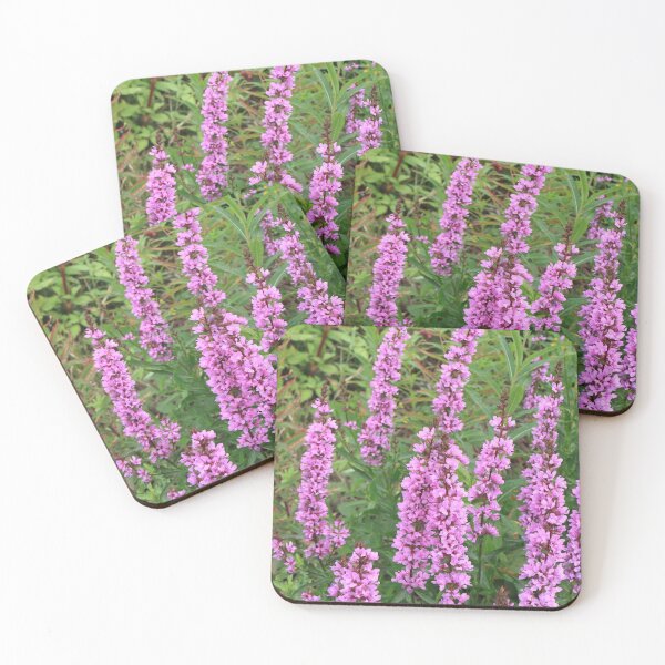 Item preview, Lythrum salicaria wildflower designed and sold by mrivserg.