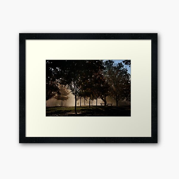 Middle Path Morning Framed Art Print