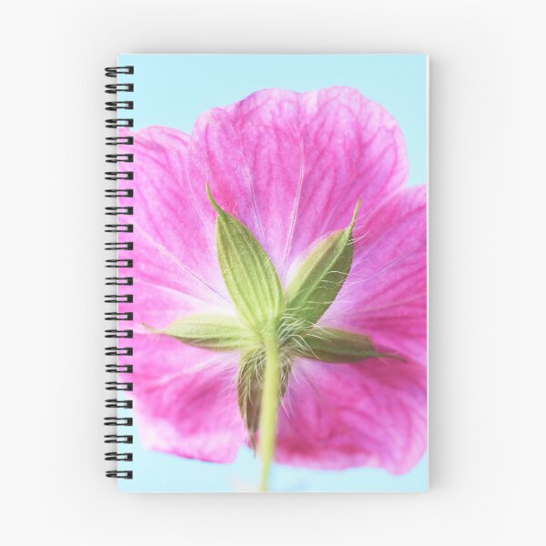 Item preview, Geranium  'Elke'  Cranesbill  designed and sold by Chris Burrows.