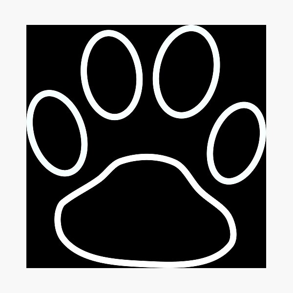 Large White Dog Paw on Black Background Photographic Print by podartist