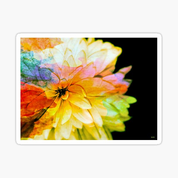 False Sunflower Sticker