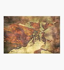Fallen Photographic Print