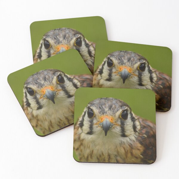Item preview, American Kestrel designed and sold by GBM86.