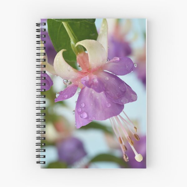 Item preview,  Fuchsia 'Prince George' designed and sold by Chris Burrows.