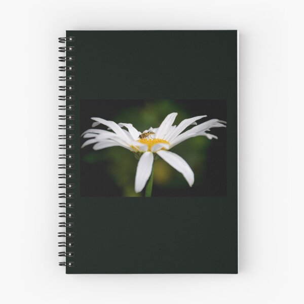 Item preview, Hover-fly on Daisy...Lyme Dorset UK designed and sold by lynn carter.