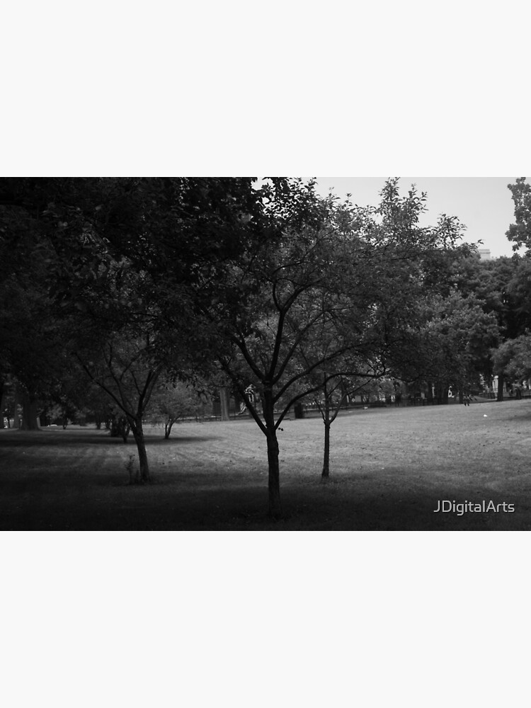 Hyde Park - Chicago by JDigitalArts