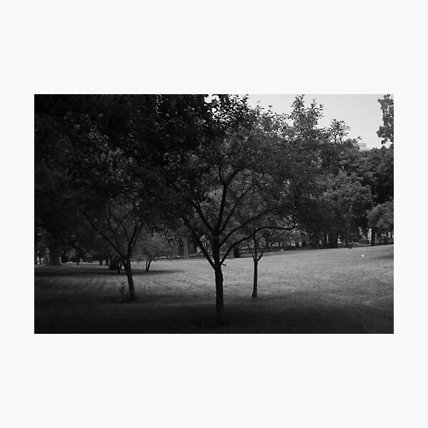 Hyde Park - Chicago Photographic Print