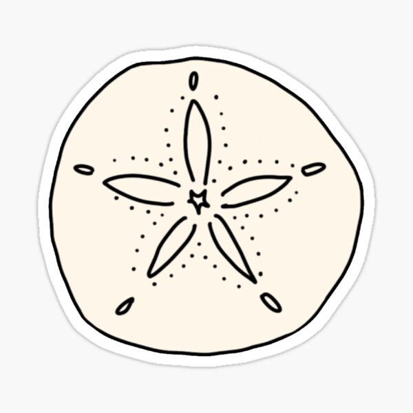 "Sand Dollar" Sticker by areberhard Redbubble