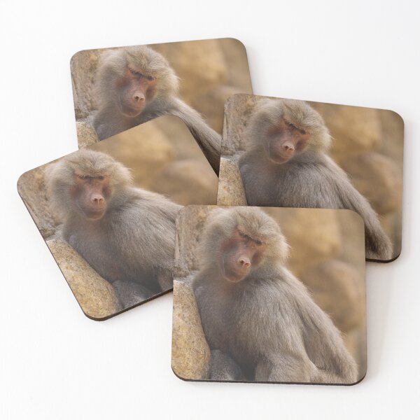 Item preview, Baboon designed and sold by MelKowasic.