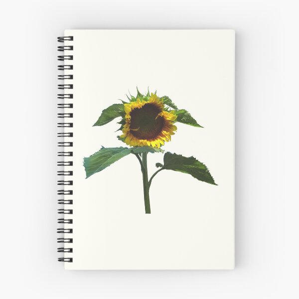 Item preview, Sunflower With Frilly Edge designed and sold by Susan Savad.
