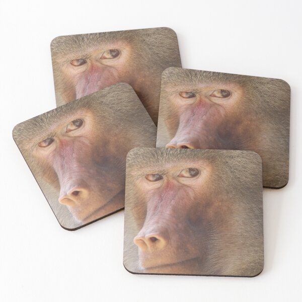 Item preview, Baboon designed and sold by MelKowasic.