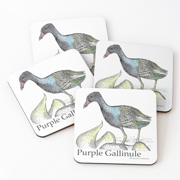 Item preview, Purple Gallinule designed and sold by Rosa Elena Albornoz Mendez.