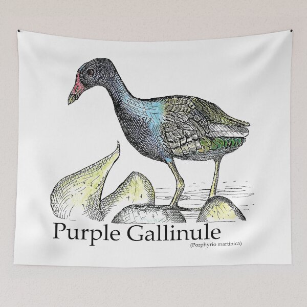 Item preview, Purple Gallinule designed and sold by Rosa Elena Albornoz Mendez.