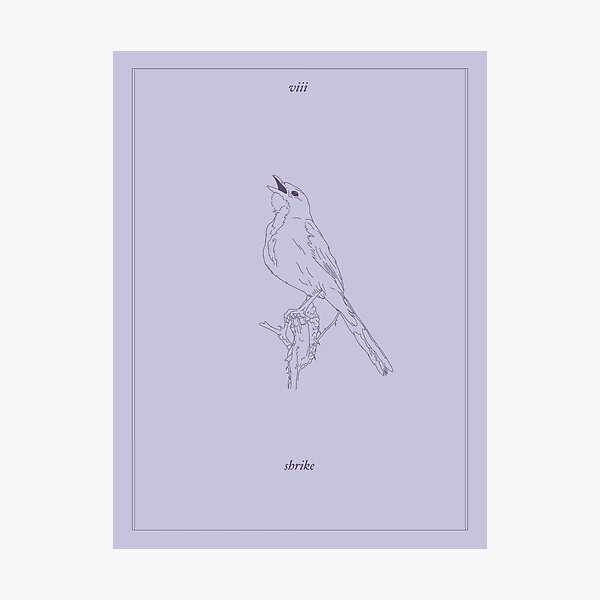 shrike - tarot card Photographic Print