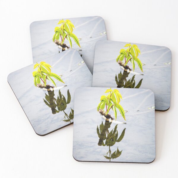 Item preview, Surviving  designed and sold by MoreGoodArt.