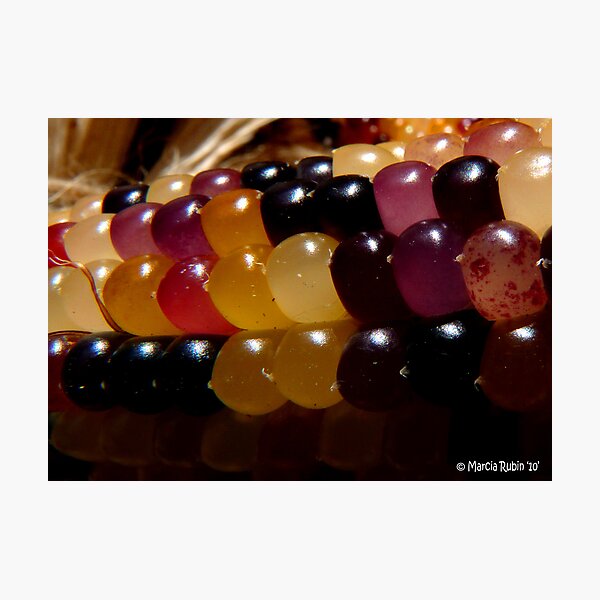 Aperçu de l'œuvre Jellybean Corn? créée et vendue par Marcia Rubin.