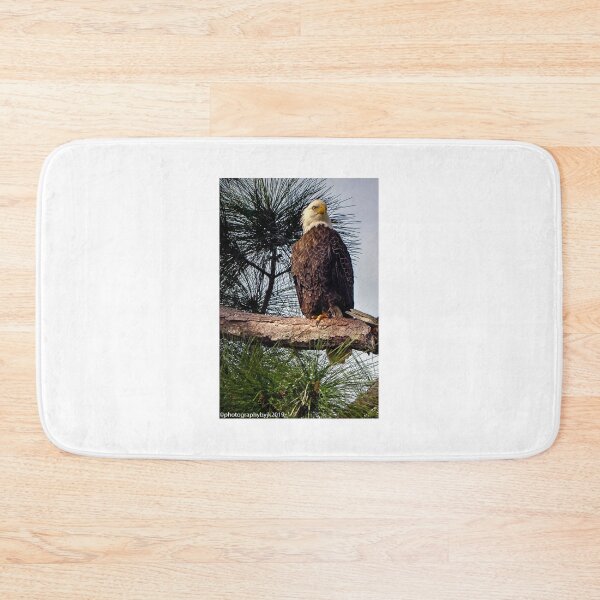 Item preview, Majestic Raptor  designed and sold by John  Kapusta.
