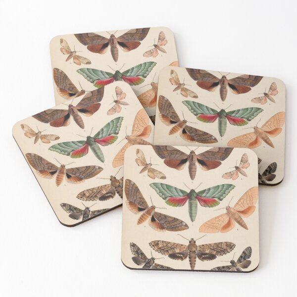 Item preview, Naturalist Moths designed and sold by BlueSpecsStudio.