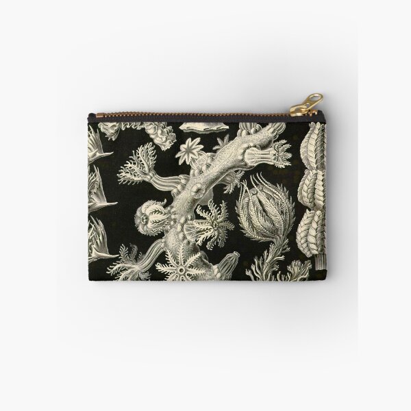 Item preview, Plate 39. A type of coral known as a 'sea fan' (Gorgonia verrucosa). designed and sold by Squirrox.