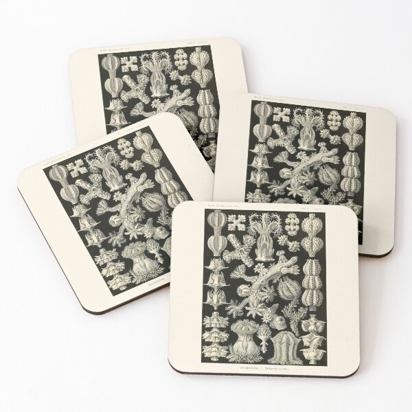Item preview, Plate 39. A type of coral known as a 'sea fan' (Gorgonia verrucosa). designed and sold by Squirrox.