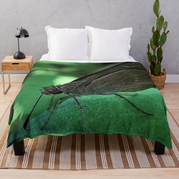 Item preview, Grass Skipper Butterfly designed and sold by JanineEK.